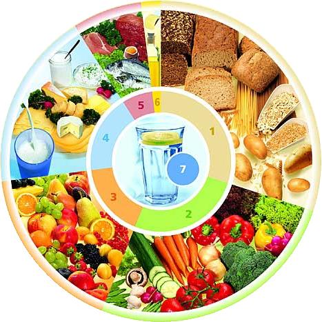 Zusatzmaterial zum Referat „Gesunde Ernährung“ von Till Menke