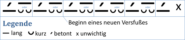 Abbildung 1: Allgemeine Merkmale des Hexameters